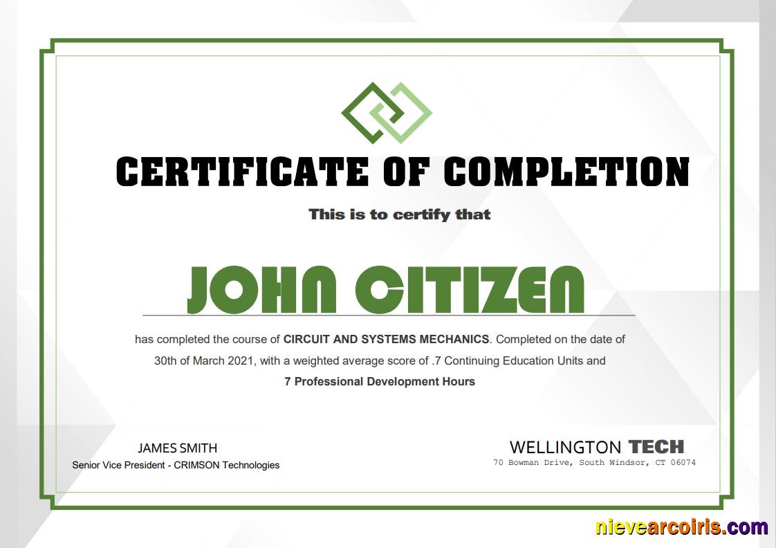 USA Experience Certificate